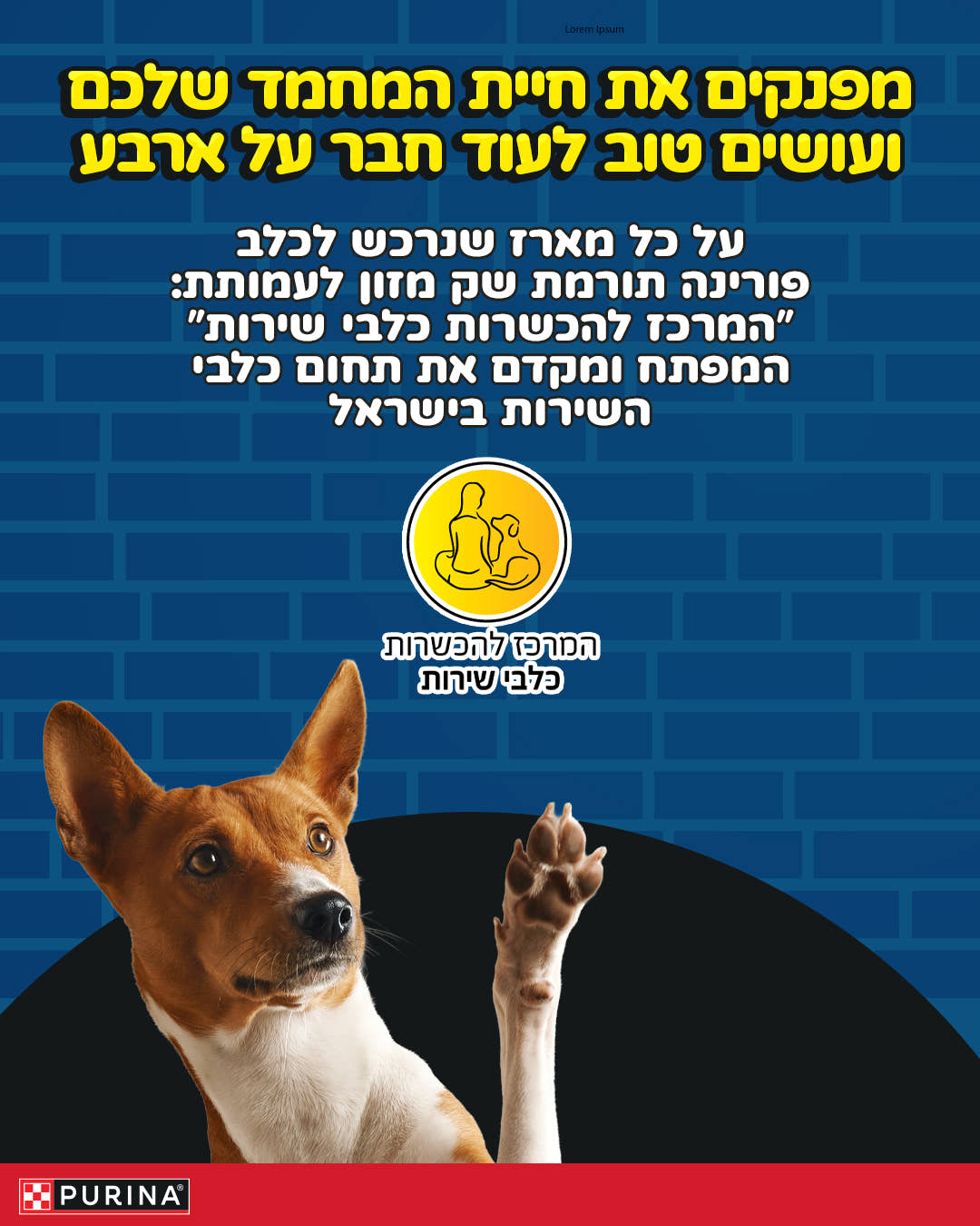 מארז לכלבים - 'לנובחים מהתרגשות' (S)