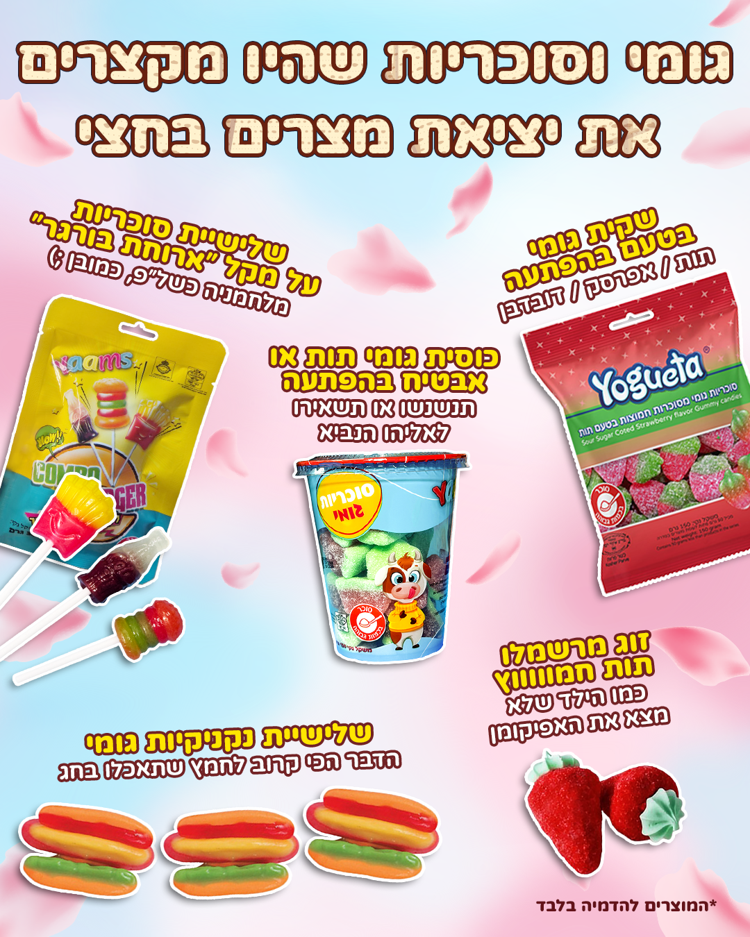 סוויטבוקס פסח (XL)